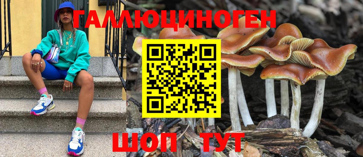 Галлюциногенные грибы Psilocybe  Вход с VPN  Еманжелинск  Псилоцибиновые грибы прущие грибы 